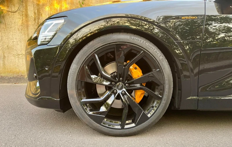 Rebel 23 inch Rebel 23 inch