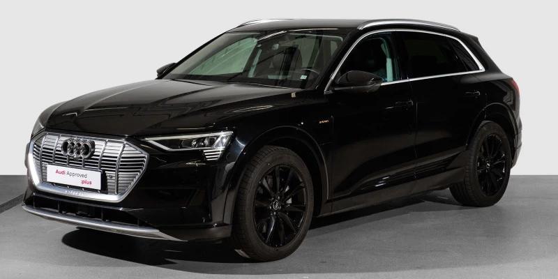 20 inch 10-arm lamina design