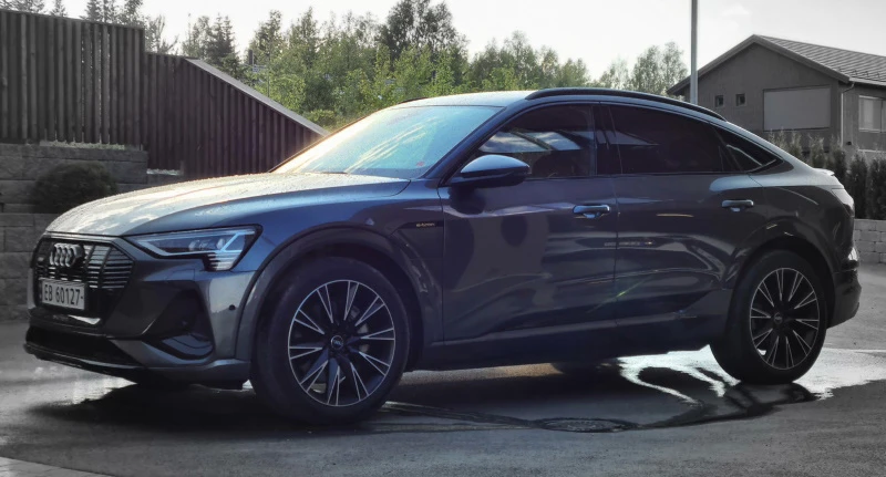 21 inch 10-arm lamina design