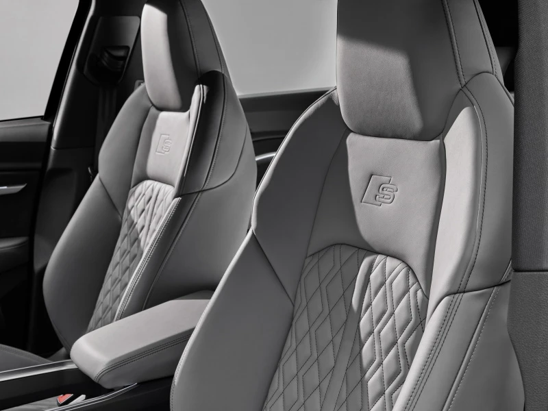 S-Sport-seter i rotorgrå Valcona-skinn