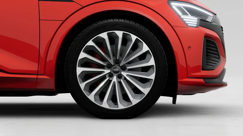 21 inch 15 arm design