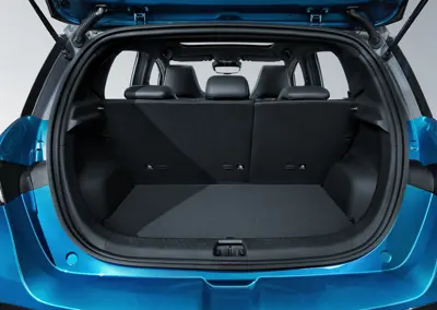 BYD Dolphin 60.4kWh