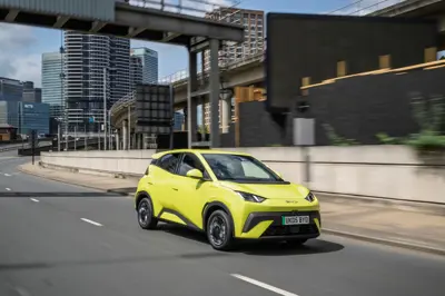 BYD Dolphin Surf Comfort - Gallery Image