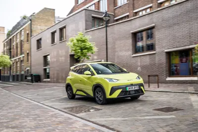 BYD Dolphin Surf Comfort - Gallery Image