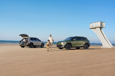 Dongfeng VIGO 51.87 kWh - Gallery Image