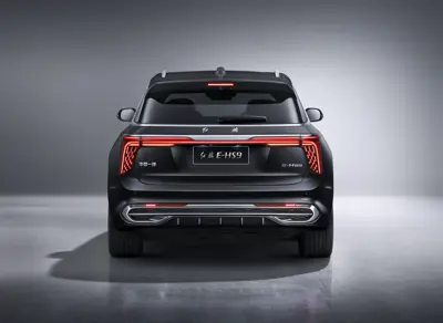Hongqi E-HS9 Exclusive