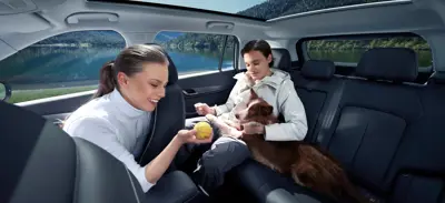 Jaecoo J5 EV