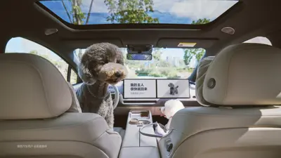 Li Auto i6 87.3 kWh RWD - Gallery Image