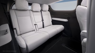 Li Auto MEGA