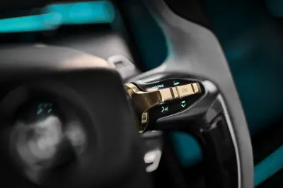 Lotus Eletre - Gallery Image