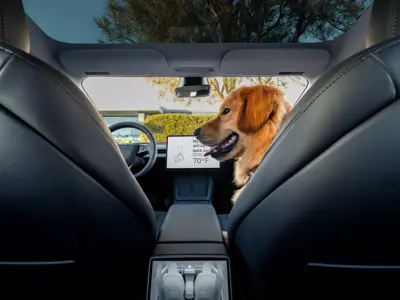 Tesla Model 3 Long Range