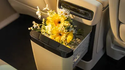 VOYAH Taishan X8 120 kWh - Gallery Image