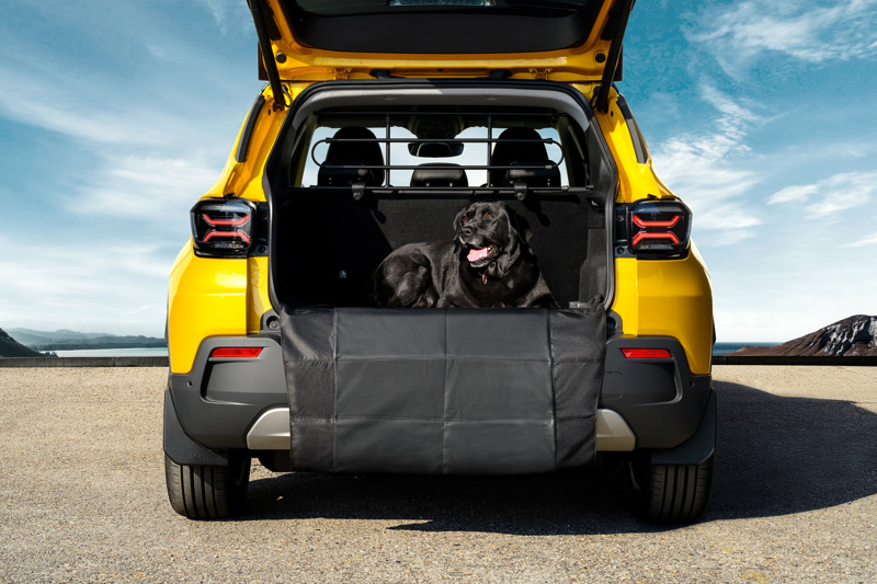 Jeep Avenger med en nydelig hund i bagasjerommet